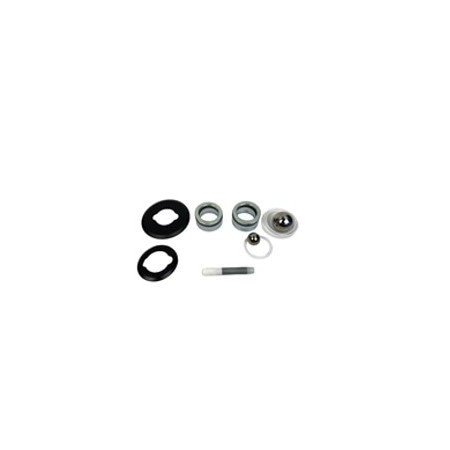 Bedford Precision Parts Bedford Precision Repair Kit for 180cc Xtreme 750 X-Tuff-type Stack - Replacement for Graco 262-792 20-3050